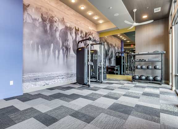 A gym with a wall mural of horses and a variety of exercise equipment.