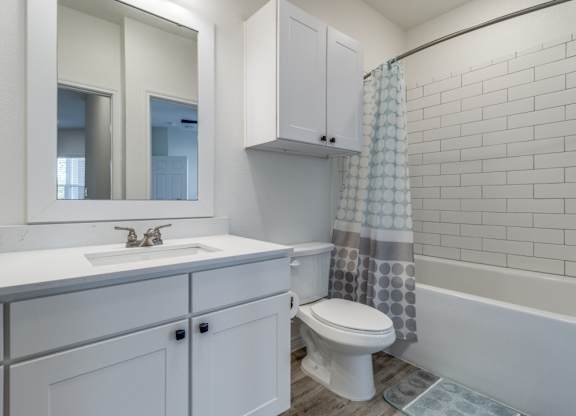 a bathroom with a white sink and toilet and a shower