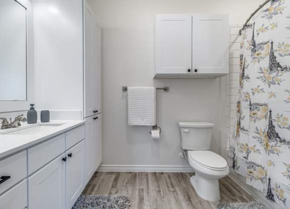 a bathroom with white cabinets and a toilet and a sink
