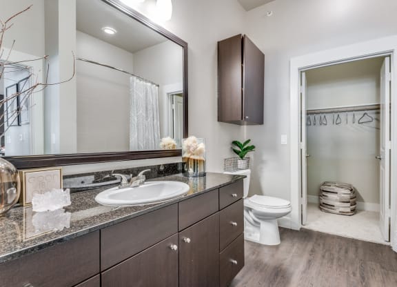 a bathroom with a toilet and a sink and a mirror