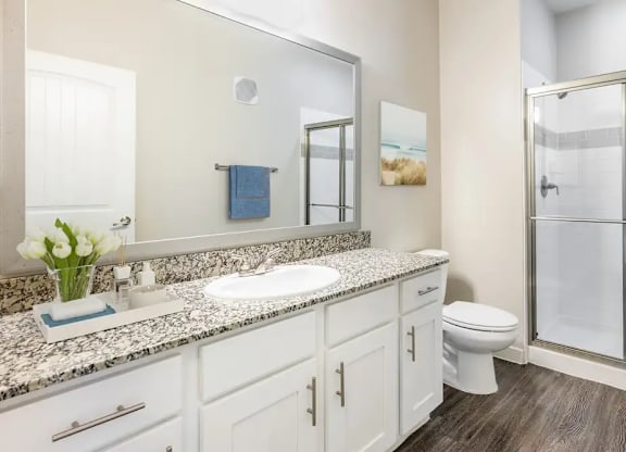 A bathroom with a sink, toilet, and a mirror.