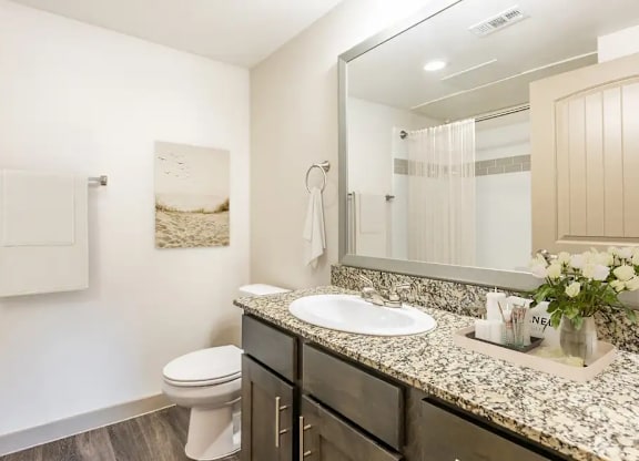 A bathroom with a toilet, sink, and mirror.