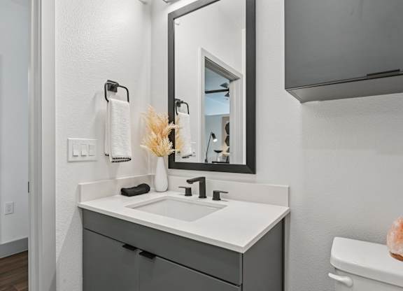 A bathroom with a white sink and a mirror above it.
