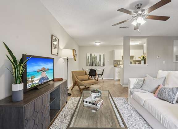 A living room with a television, a couch, a chair, a potted plant, and a rug.