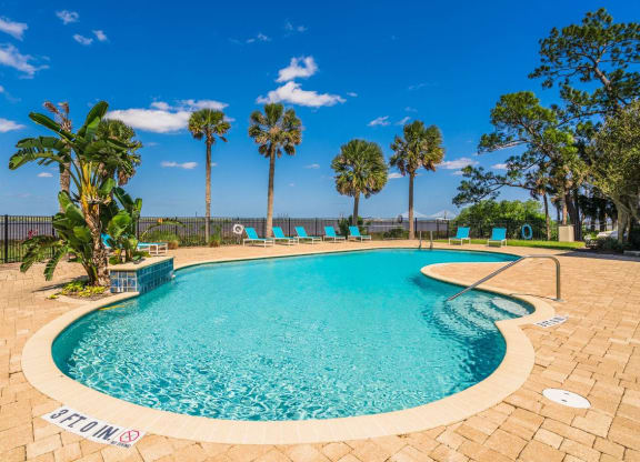 pool with palm trees