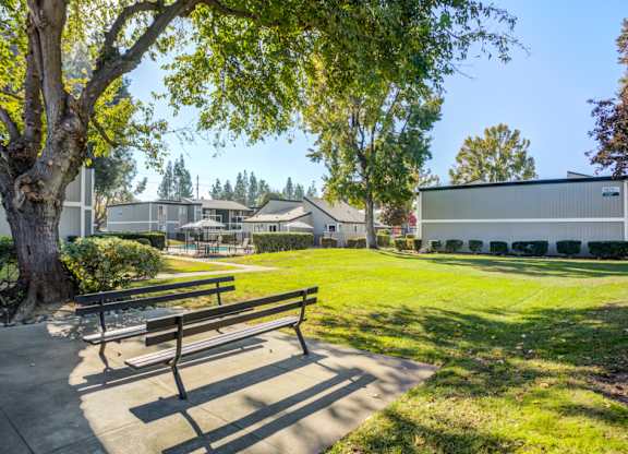 A park with a bench and a building in the background.