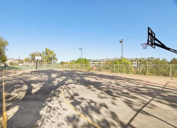 A basketball court with a hoop and a yellow line on the ground.