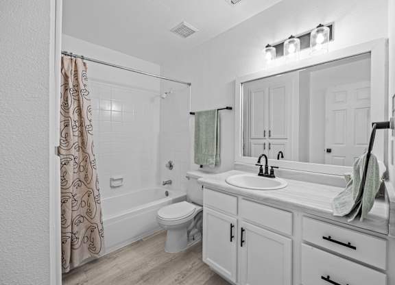 a bathroom with a sink and a shower and a toilet