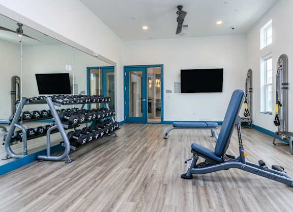 A gym with a row of dumbbells on a rack.