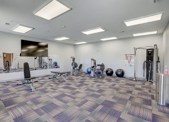 A gym with a variety of equipment including a squat rack, bench, and weights.
