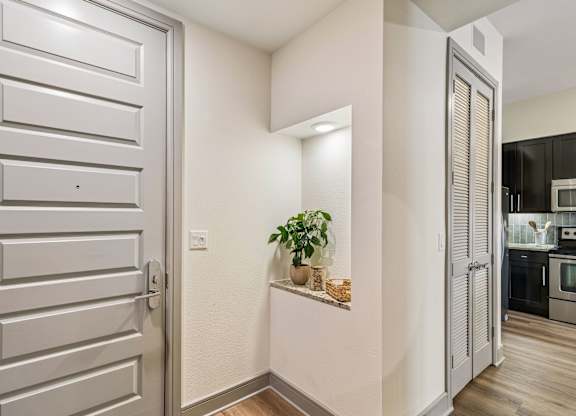 A white door with a plant on the ledge.