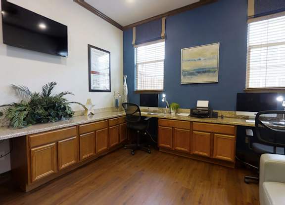 A room with a desk, chairs, and a plant.