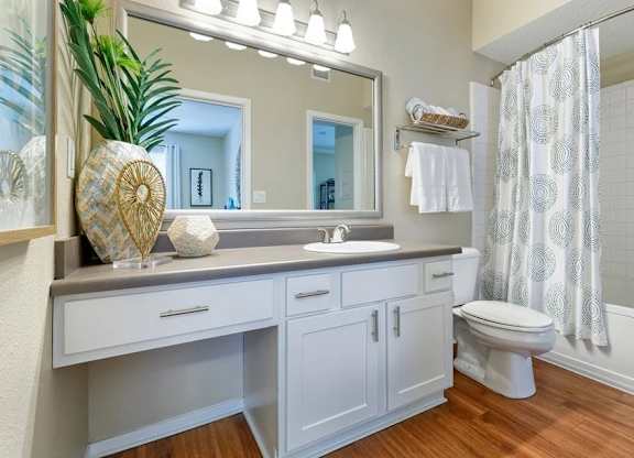 A bathroom with a white toilet and a sink with a mirror above it.