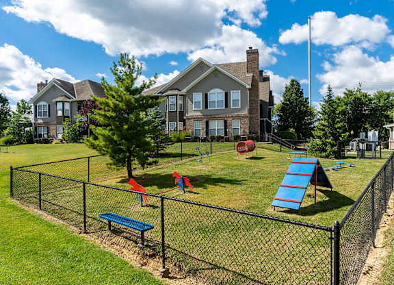 A playground with a blue slide and red and blue slides in the background.