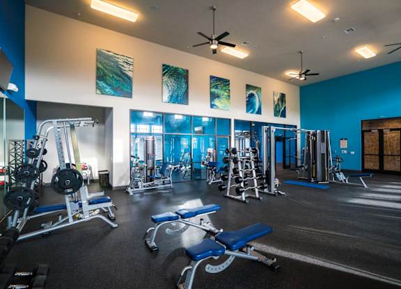 gym amenity