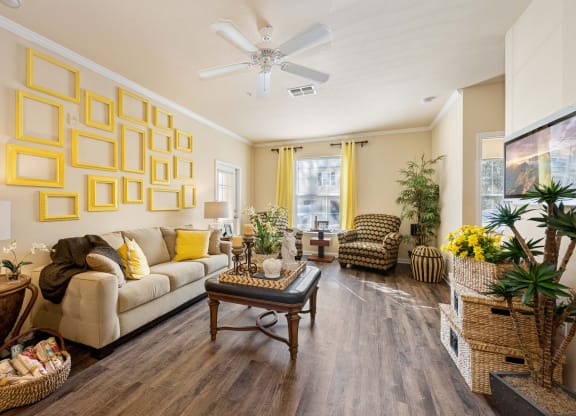 Living room with furniture