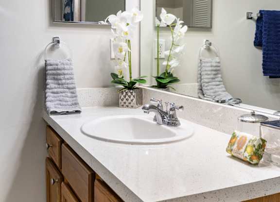 A bathroom with a white sink and a mirror above it.