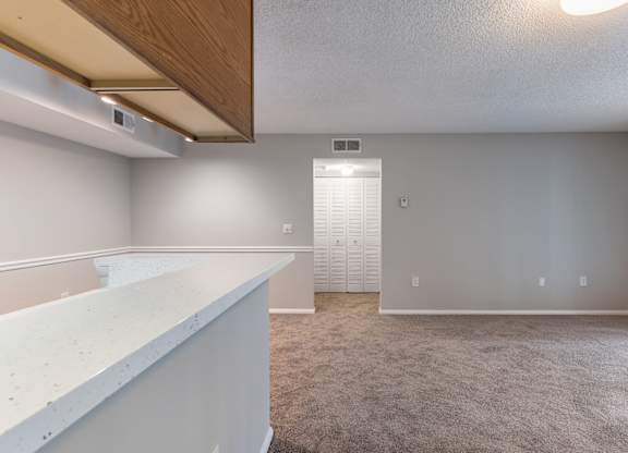 A room with a white counter and a carpeted floor.