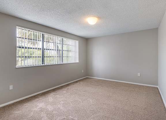 A room with a window and a carpeted floor.