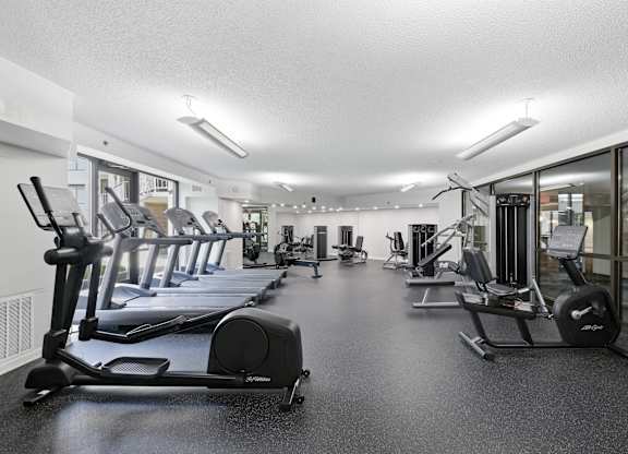 A gym with treadmills and elliptical machines.