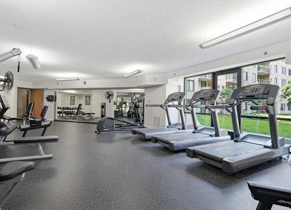 A spacious gym with treadmills, weights, and exercise equipment.