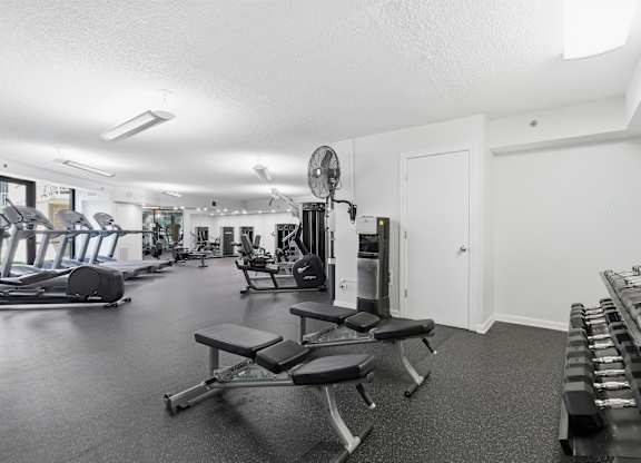 A gym with a variety of equipment including treadmills, weights, and a bench.