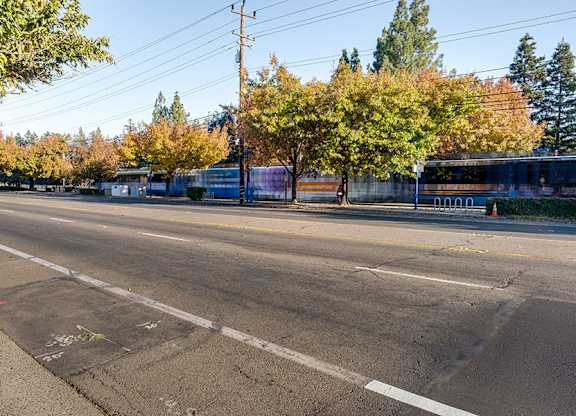 A street with a bus stop and trees in the background.