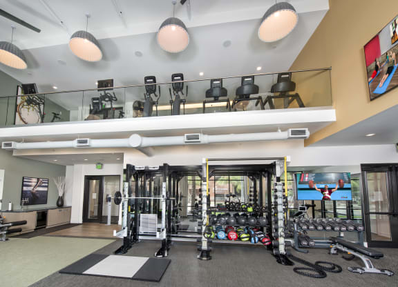 a workout room with weights and cardio equipment in a building