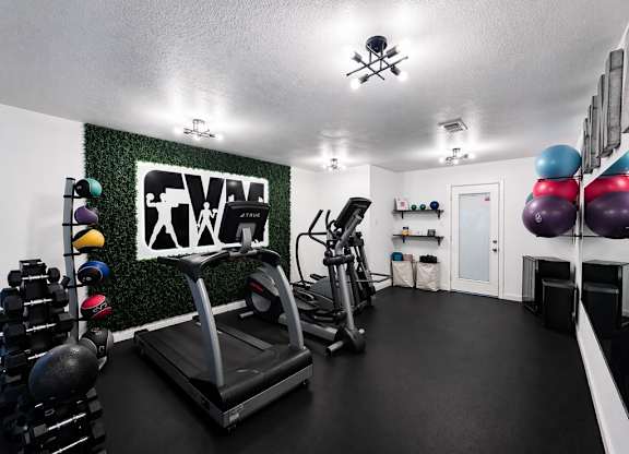 A gym with a treadmill, weights, and exercise balls.