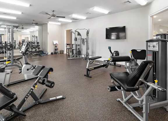 A spacious gym with a variety of equipment including treadmills, weight machines, and a television.