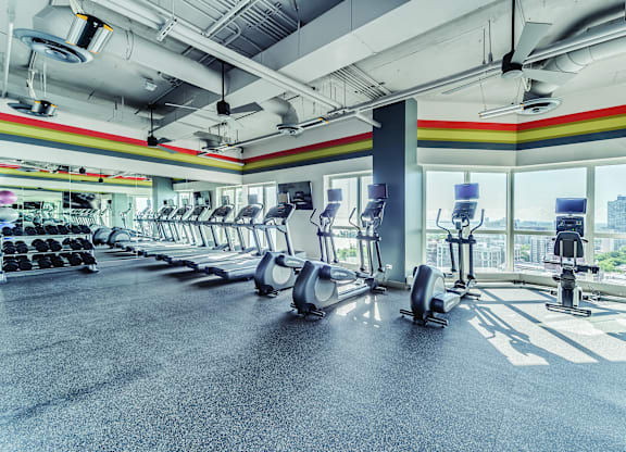 A gym with treadmills and elliptical machines.