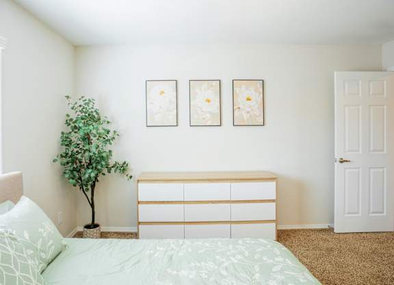 A bedroom with a bed, a dresser, and a plant.
