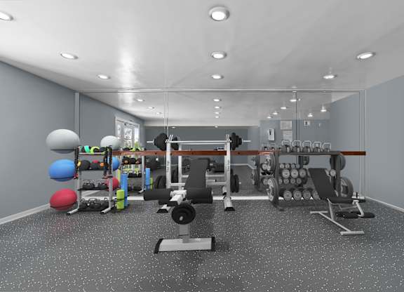 A well-equipped gym with various exercise machines and weights.