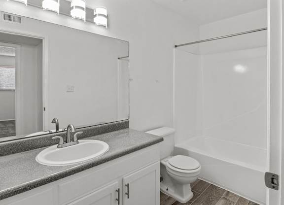 a bathroom with a sink and a toilet and a shower