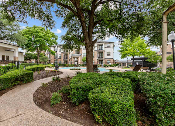 A tree in a landscaped area with a building in the background.