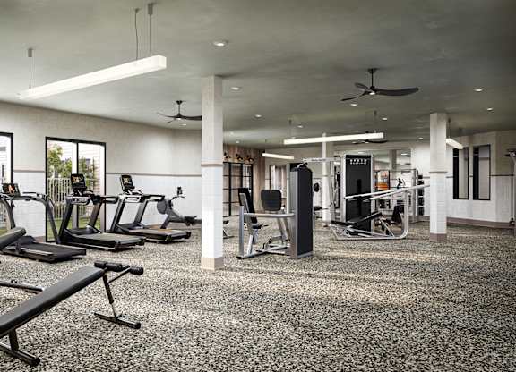 A gym with a variety of equipment including treadmills, weights, and a bench press.