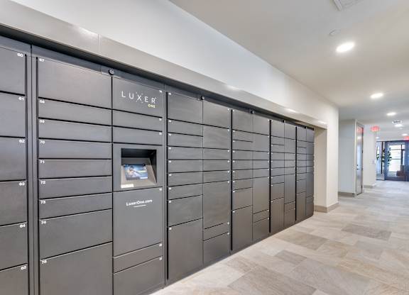 A row of black LUXER branded mailboxes are lined up on a wall.