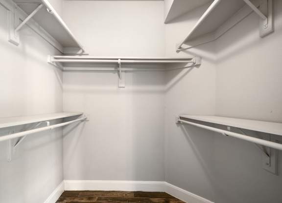 walk in closet in webster apartments