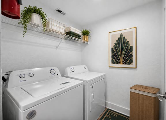 A small laundry room with a washer and dryer and a plant on the shelf.