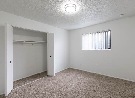 A white bedroom with a carpeted floor and a window with blinds.