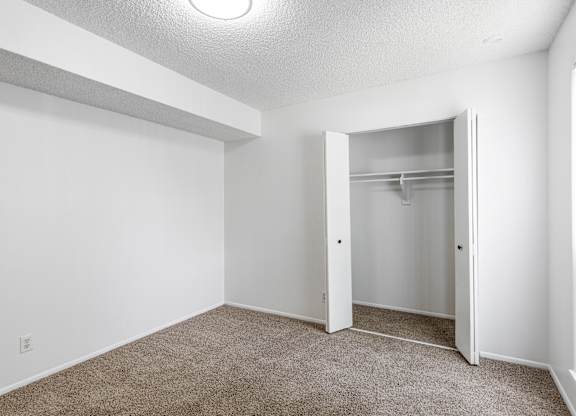 A white room with a closet and a carpeted floor.