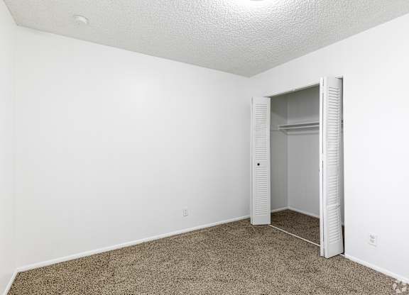 A white room with a carpeted floor and a closet with a mirror.