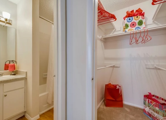 A white closet with a red bag and a red hanger.