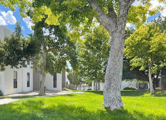 a large white building with trees in front of it