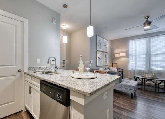 A kitchen with a granite countertop and stainless steel dishwasher.