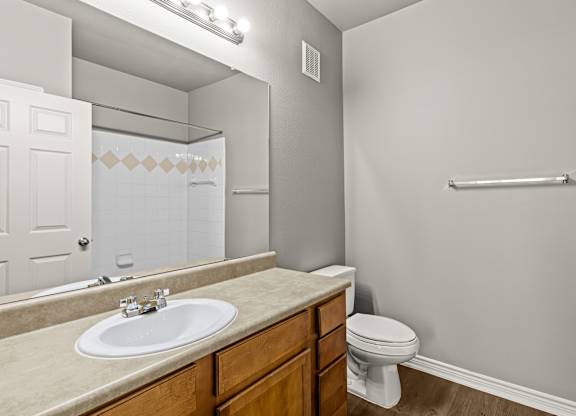 A bathroom with a sink, toilet, and a mirror.
