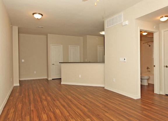 vacant apartment living room and kitchen in background