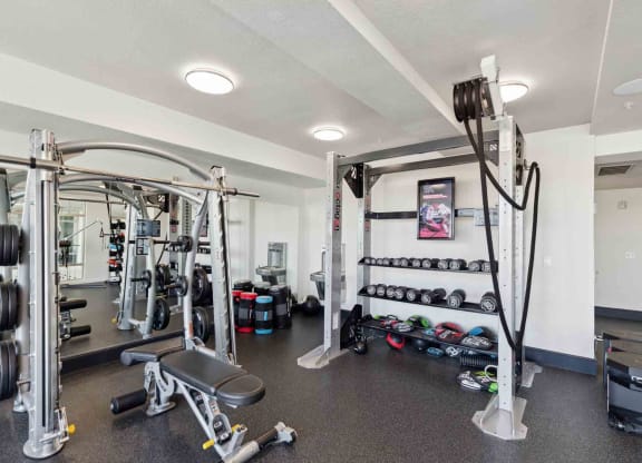 a gym with weights and other equipment in a home
