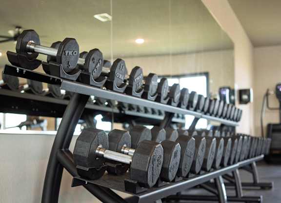 A row of dumbbells are lined up on a rack in a gym.