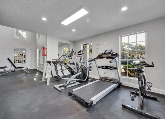 the gym in the owners home has treadmills and other exercise equipment
